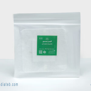 کیتوپور