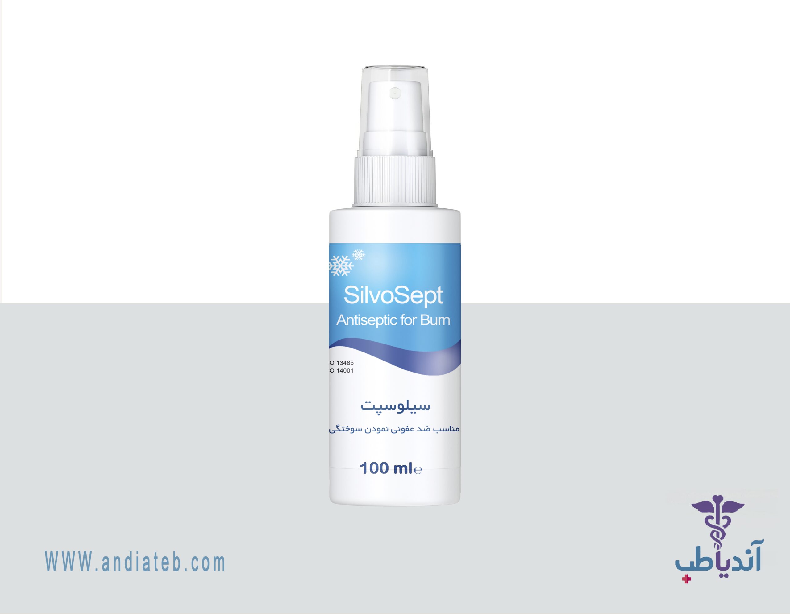 اسپری ضدعفونی کننده سیلوسپت سوختگی 100 میلی لیتری کیتوتک (SilvoSept)