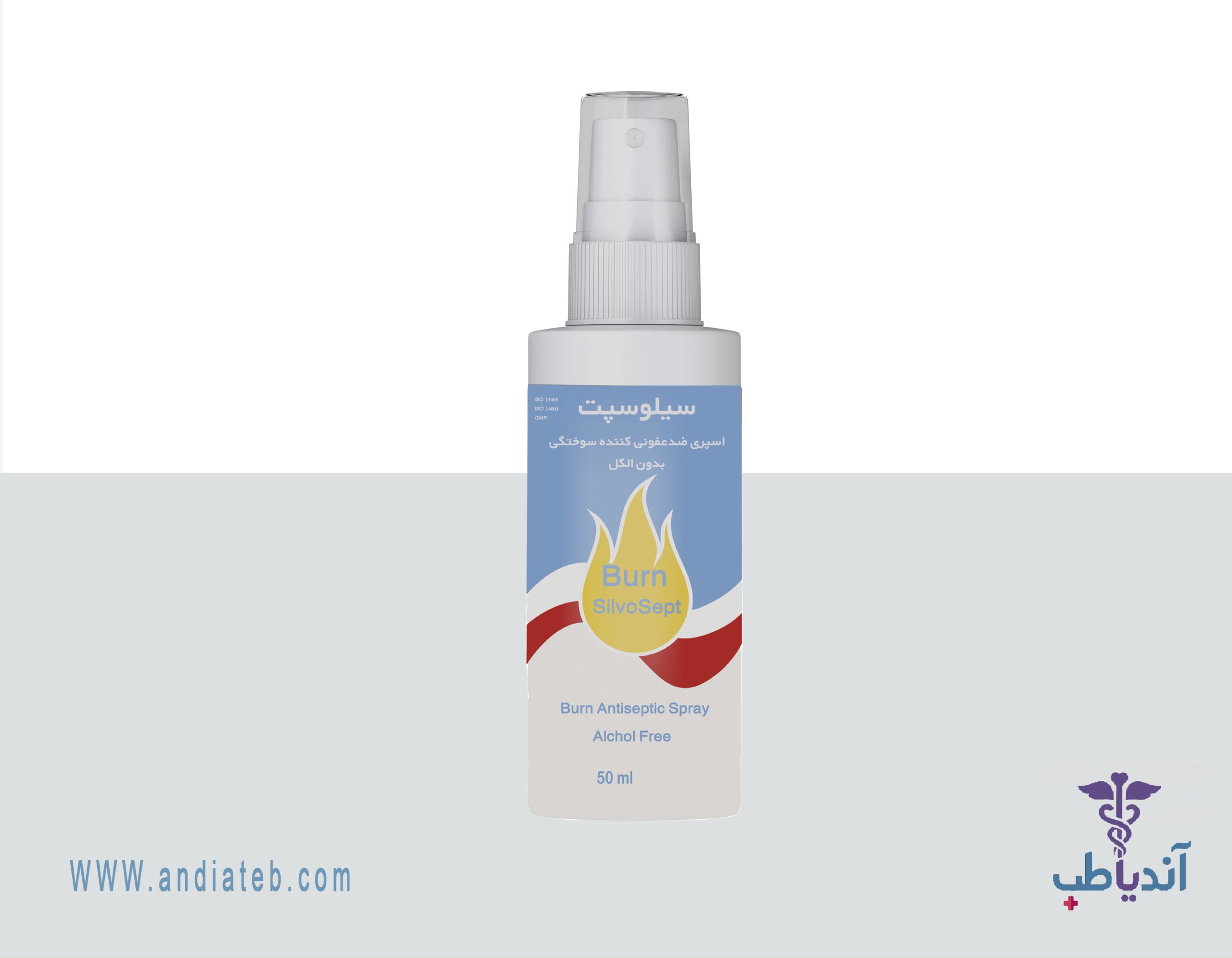 اسپری ضدعفونی کننده سیلوسپت سوختگی 50 میلی لیتری کیتوتک (SilvoSept)